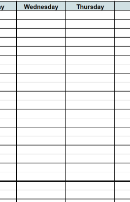 A spreadsheet with the top tow with week days and the first column with hours of the day.