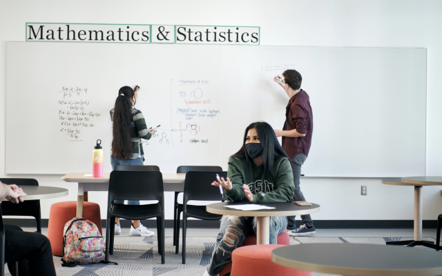 mathematics and statistics tutoring