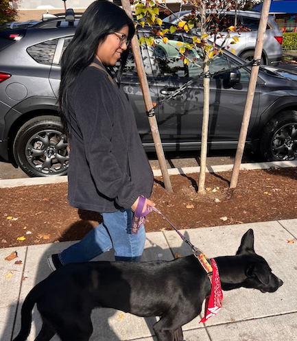 tayma Marketing position walking dog