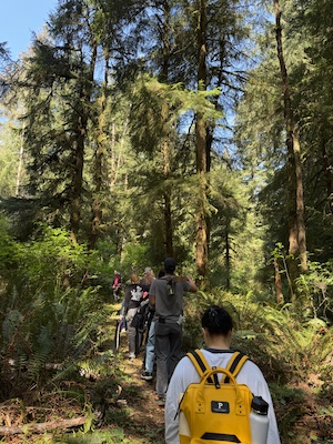 PSU students walk in the woods
