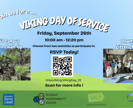 Viking day of service