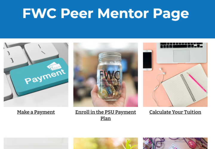 Snapshot of Peer Mentor page
