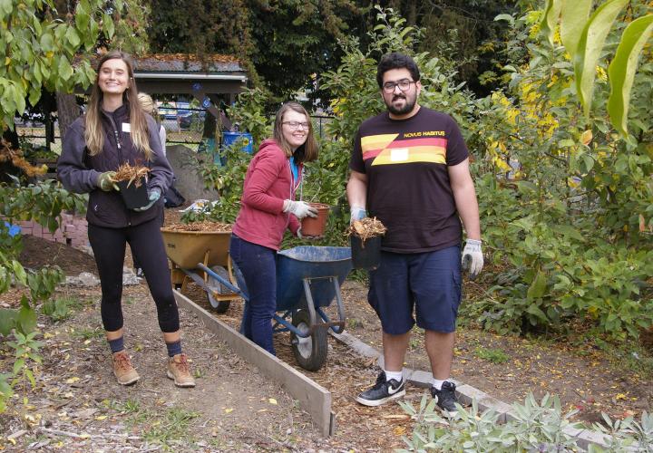 Three students gardening in the orchard