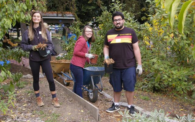 Three students gardening in the orchard