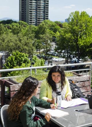 PSU Students Studying