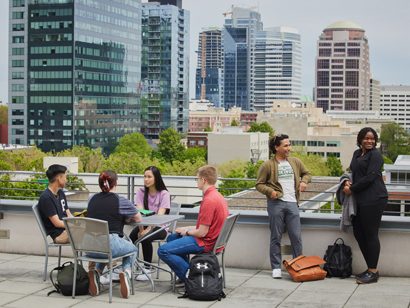 Students collaborating on rooftop