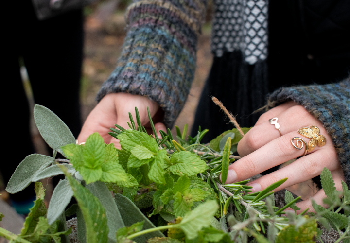 Student gardening herbs