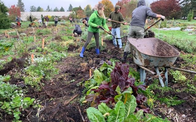 Learning Gardens Lab