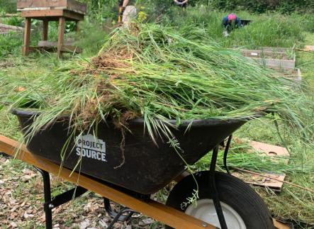 a wheelbarrow outside loaded full of green weeds in a garden