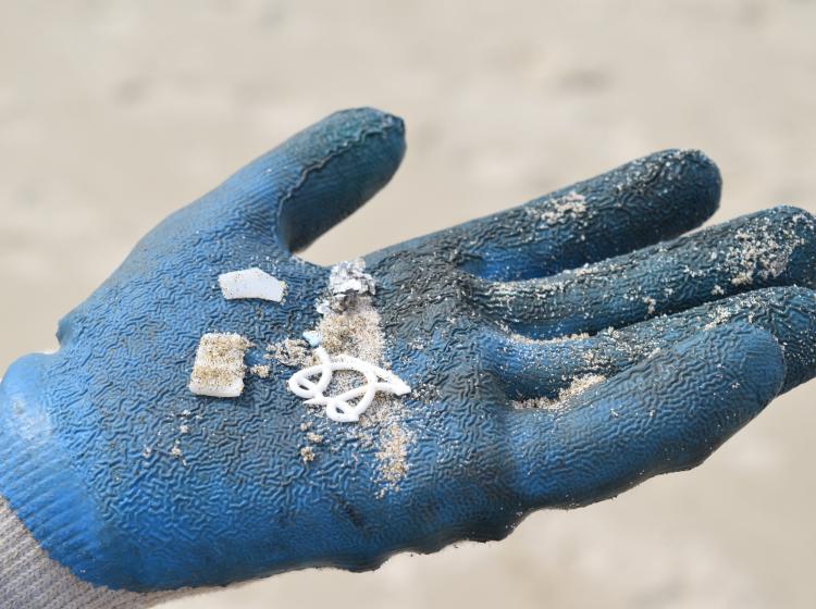 gloved hand with plastic debris from beach cleanup