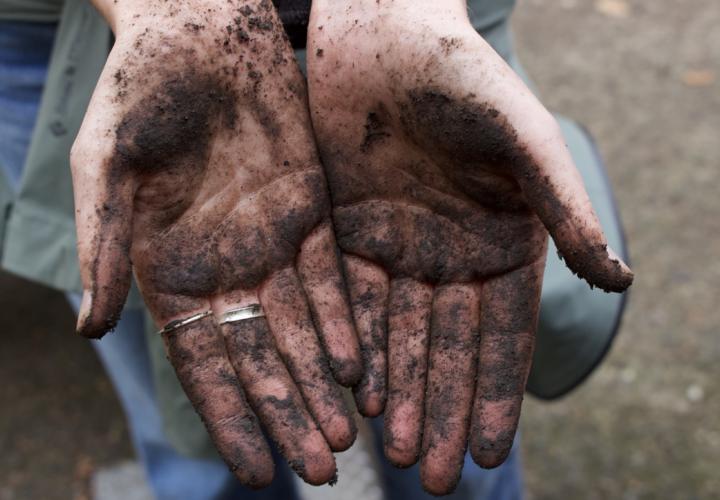 Two hands covered in dirt are shown.