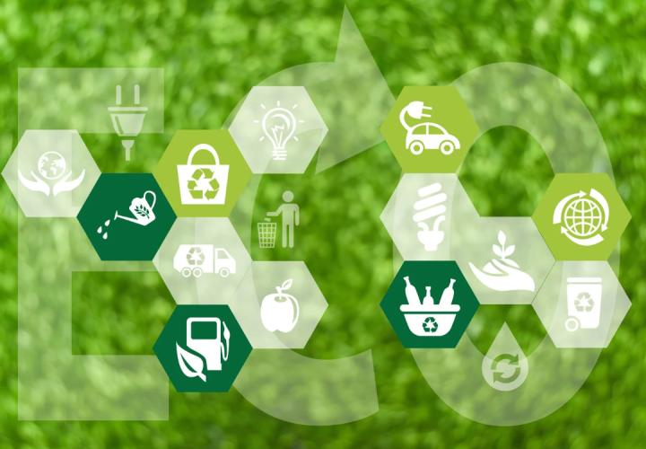 sustainability icons over green grass background with the word ECO in all caps 