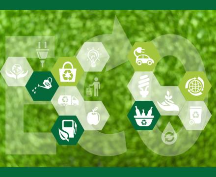 sustainability icons over green grass background with the word ECO in all caps 