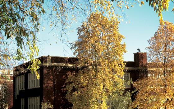 A Tree outside of Lincoln Hall.