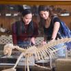 Two students looking at a skeletal model of an animal