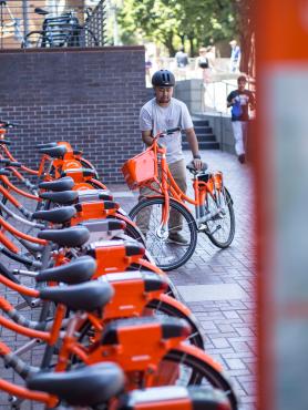 several orange bicycles parked uniformly