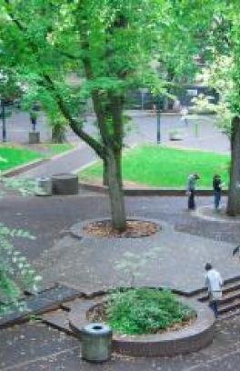 four people in the psu park blocks