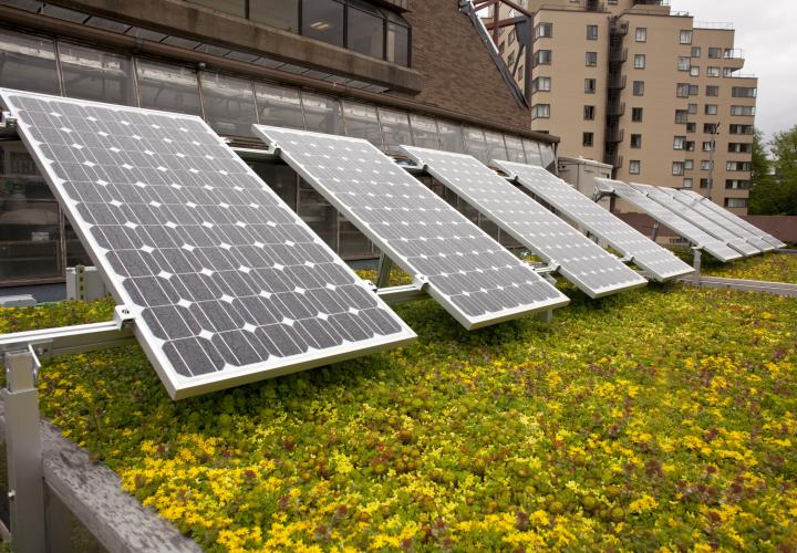 solar panels and a greenroof