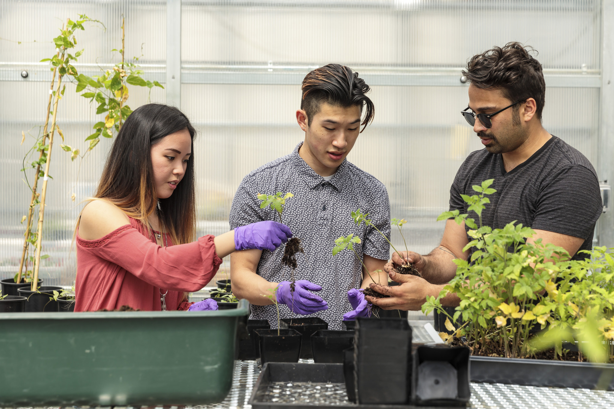 Students working in greenhouse