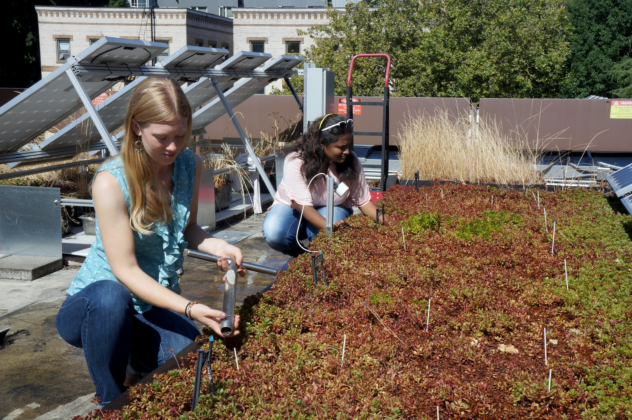 students looking at eco roof on science building