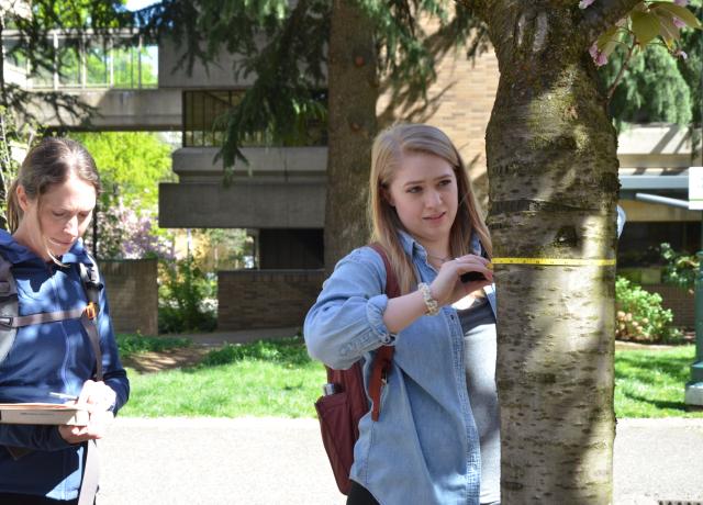 student holds a measuring tape around a tree trunk