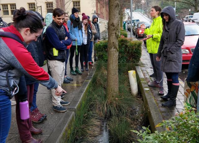 Water Resource Management class fieldtrip urban stormwater