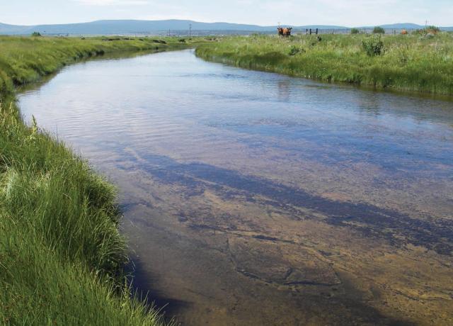 Lower Sycan River. (Photograph by Jim O'Connor, USGS)