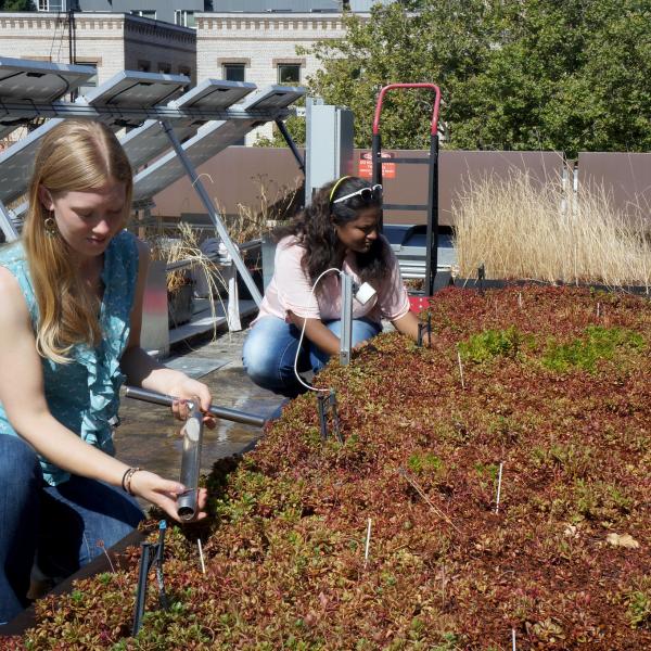 students looking at eco roof on science building