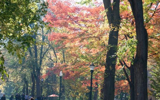 two people walking down a path in the park blocks