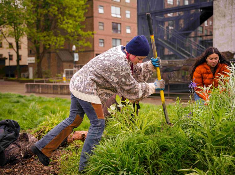 A person digs into the ground with a shovel