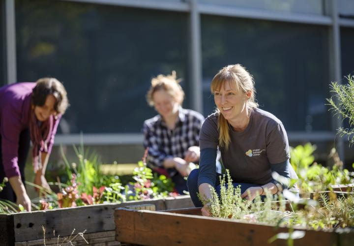 SSC Gardening Project 
