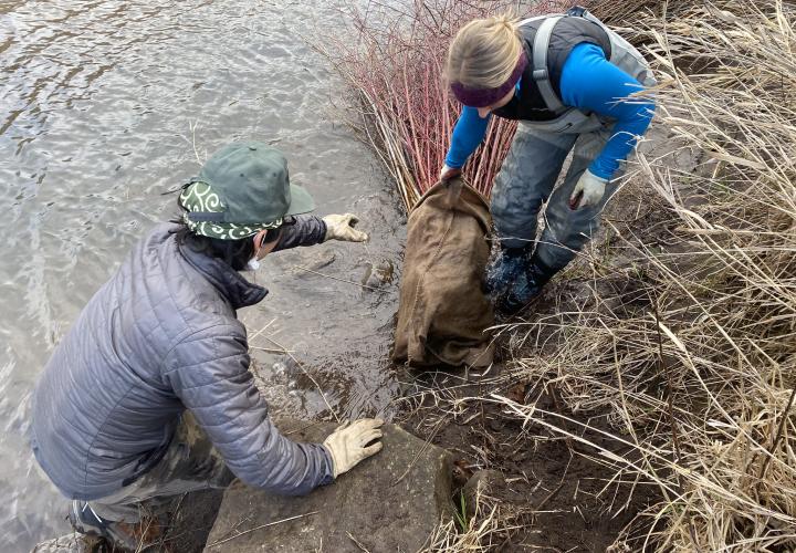 Columbia River Gorge National Scenic Area staff build bundles of willows and other hardwoods and plant them along sections of the Klickitat Wild & Scenic River