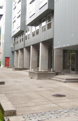 green bioswales outside building