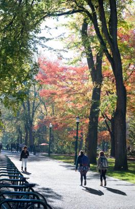 two people walking down a path in the park blocks