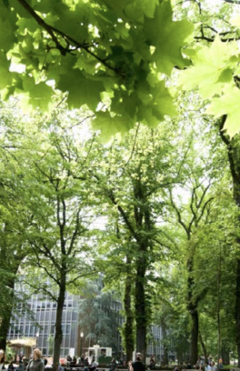 campus park blocks