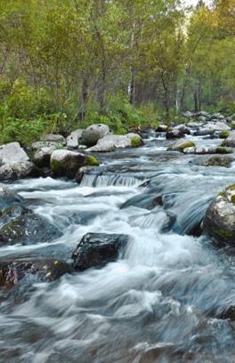 A river flows toward the camera over large boulders and trees along its bank