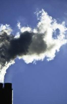 A smokestack pumps vapor or smoke into a plume in the air, with a blue sky behind it