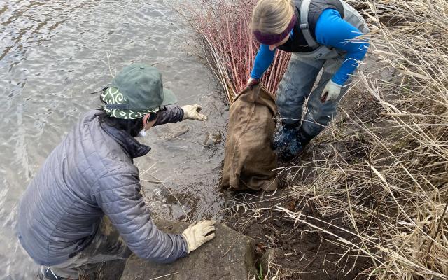 Columbia River Gorge National Scenic Area staff build bundles of willows and other hardwoods and plant them along sections of the Klickitat Wild & Scenic River