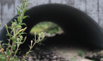 stormwater management 