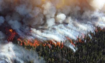 Oregon forest fire with billowing smoke