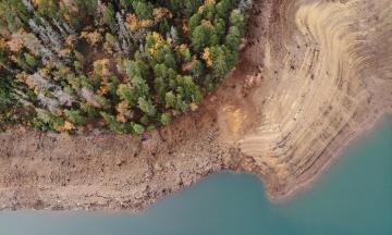 A birds-eye view of conifer trees next to the shore of a reservoir.