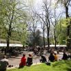 Students sitting in the Park blocks