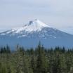 mt mcgloughlin