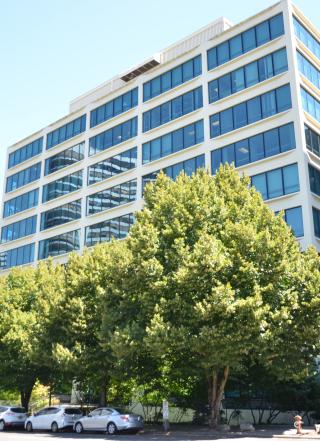 building with several trees out front