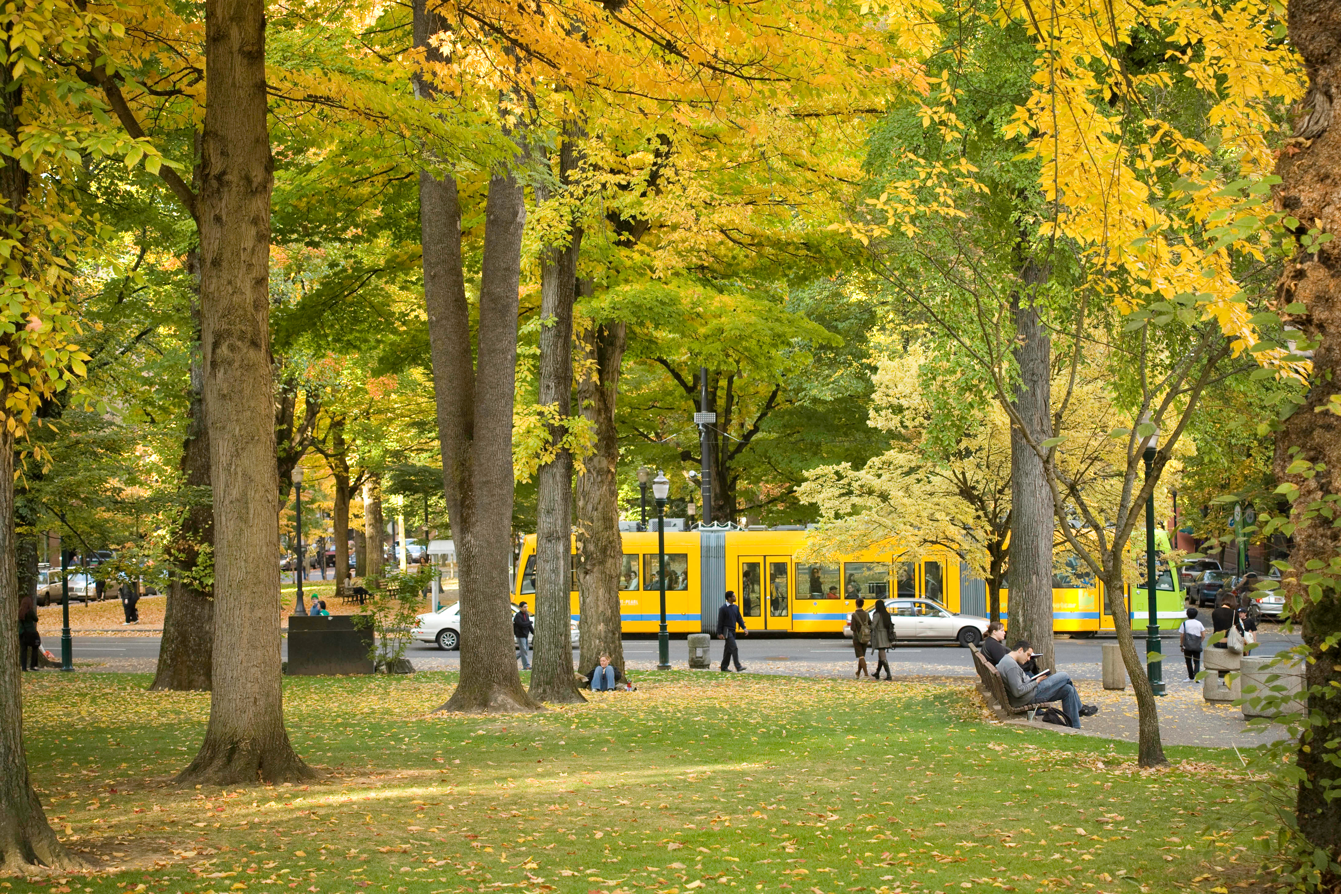 A yellow streetcar moves through the park blocks