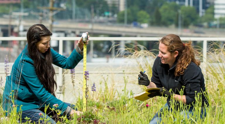 Two PSU geology graduate students working on a rooftop garden