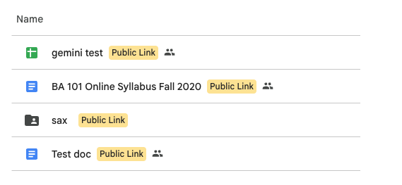 Screen grabbed image of a Google Drive with highlighted text of "Public Link" next to the file names