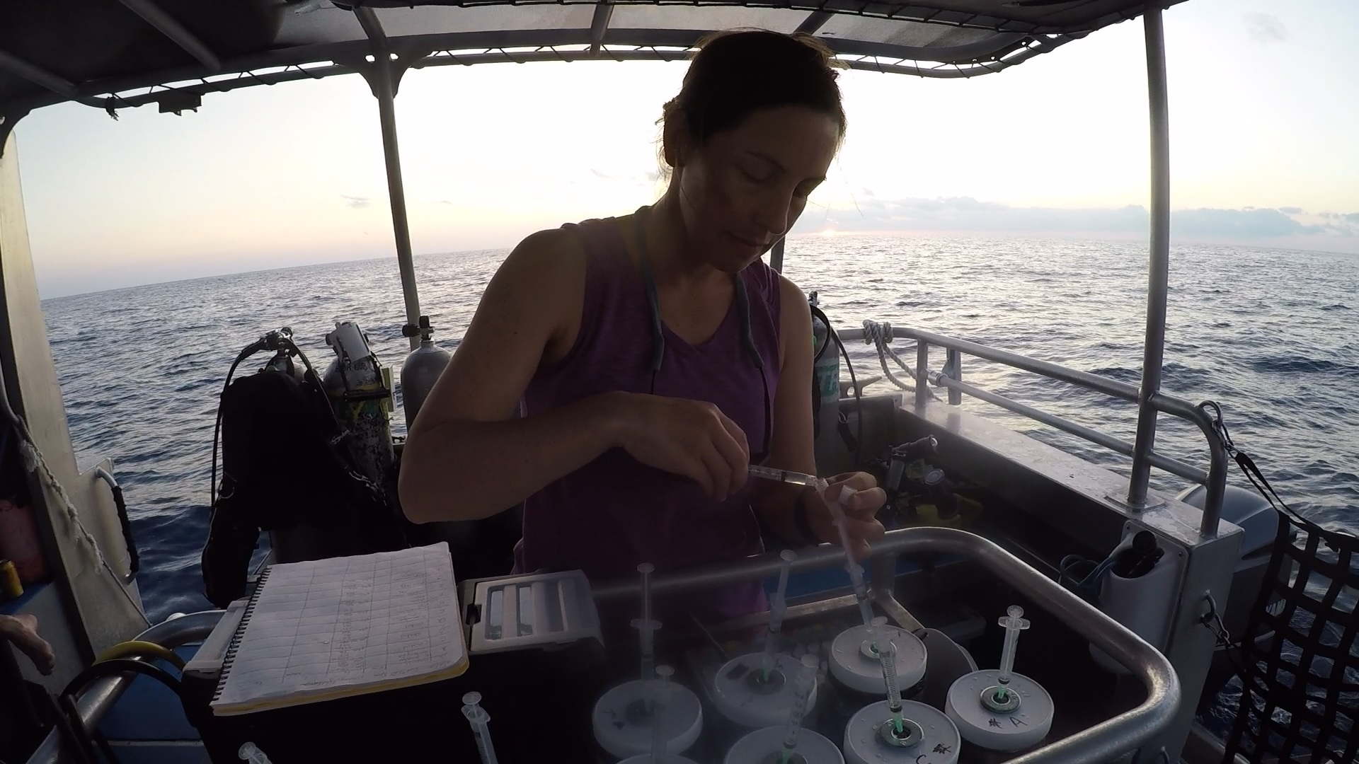 Anne sampling