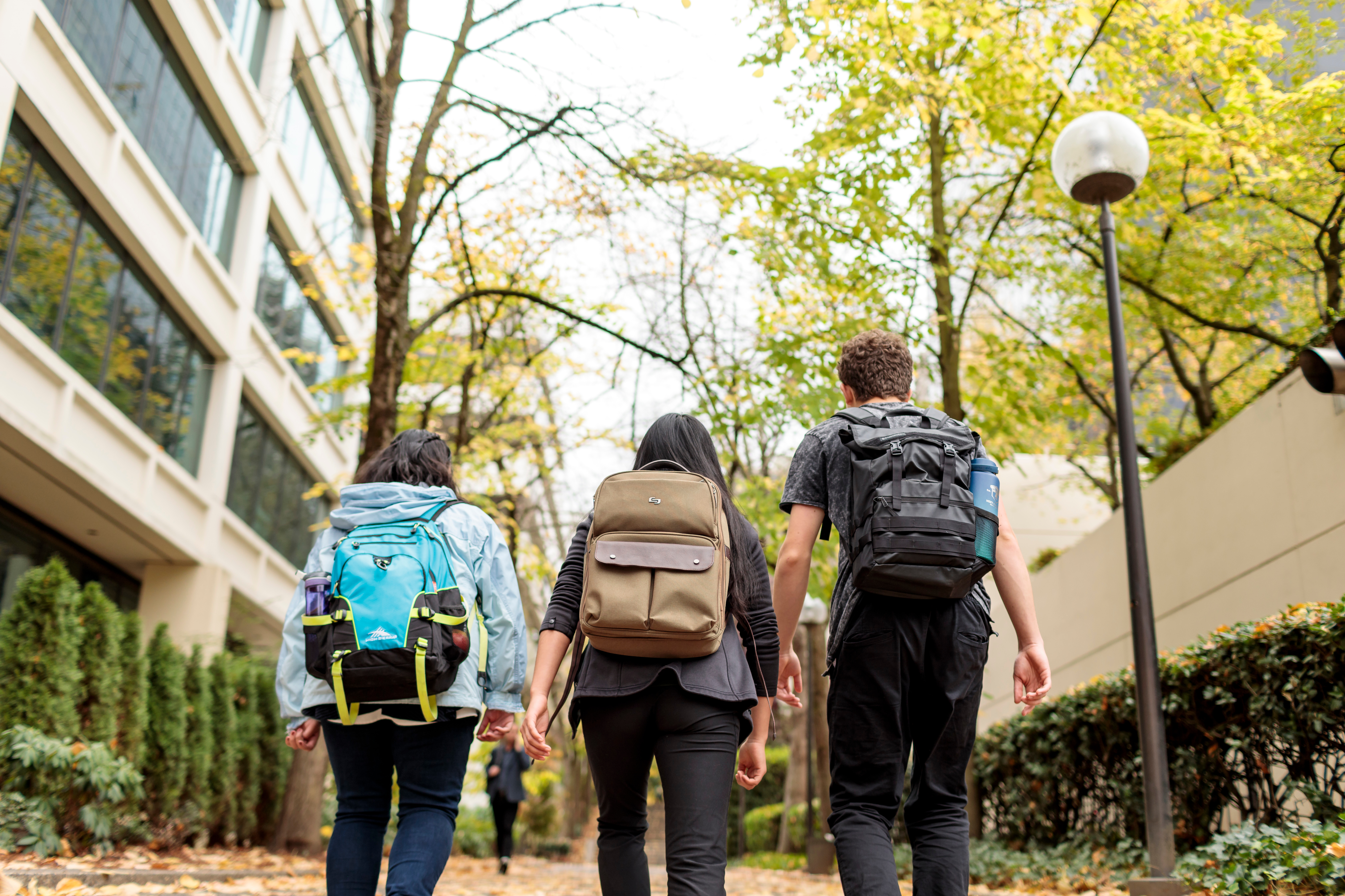 three people with backpacks on walking away from the camera