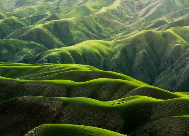 lush green rolling hills
